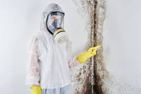 Nisswa, MN Mold Removal & Remediation Company